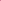 Wild Pink 2080-40
